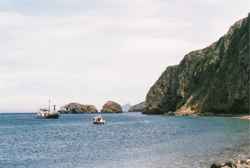 Channel Islands National Park