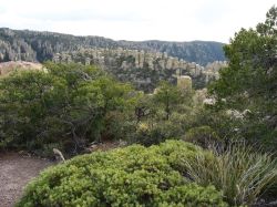 Chiricahua National Monument