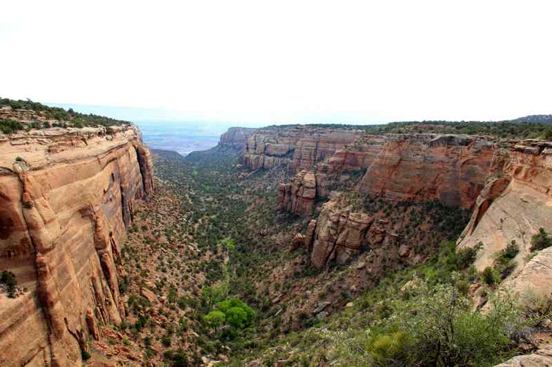 Red Canyon Overlook