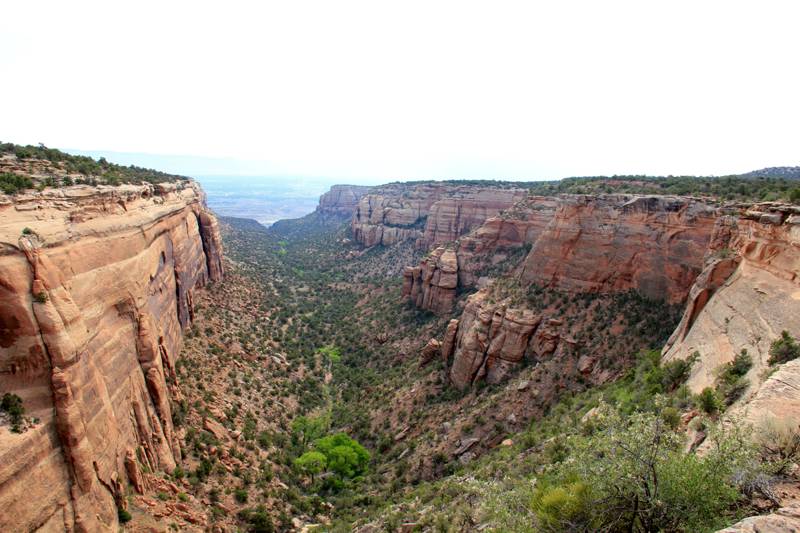 Red Canyon Overlook