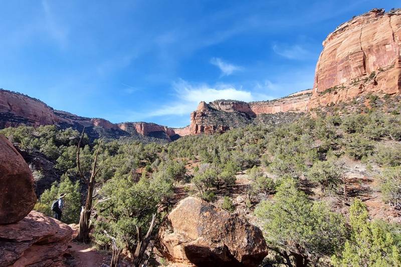 Ute Canyon trail