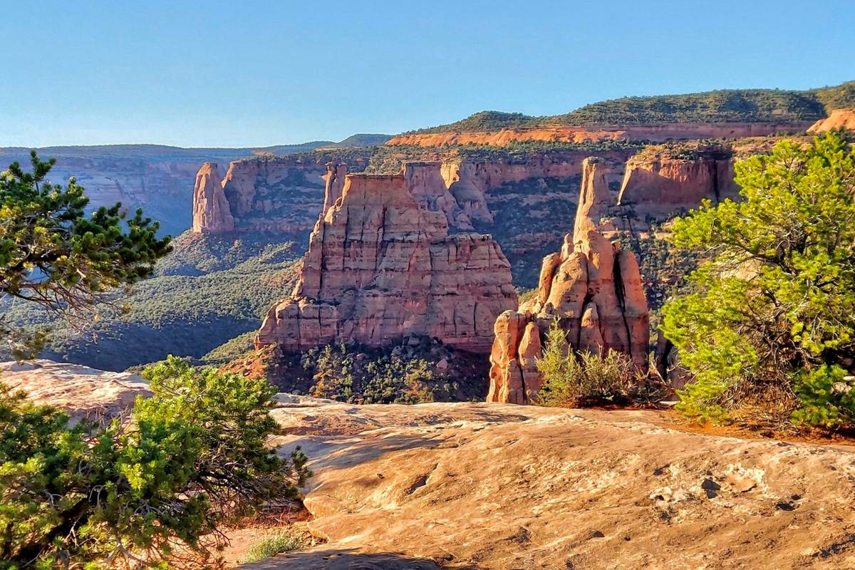 Canyon Rim trail