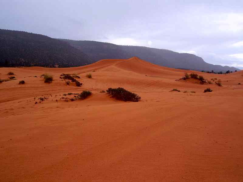 Coral pink sand dunes State Park