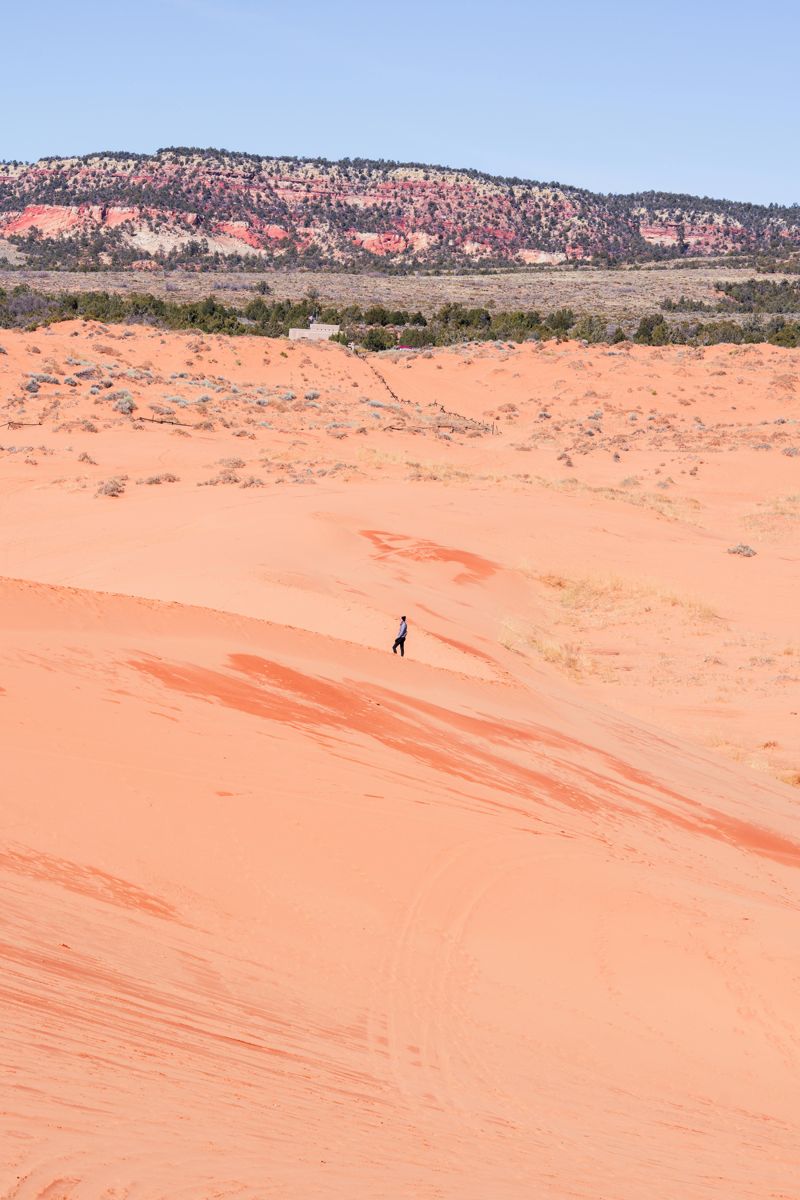 Coral pink sand dunes