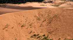 Coral pink sand dunes State Park