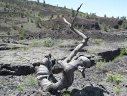 Craters Of The Moon National Monument and Preserve