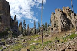 Custer State Park