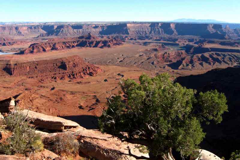 Intrepid Trail System