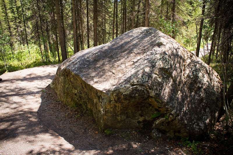 Roadside Trail