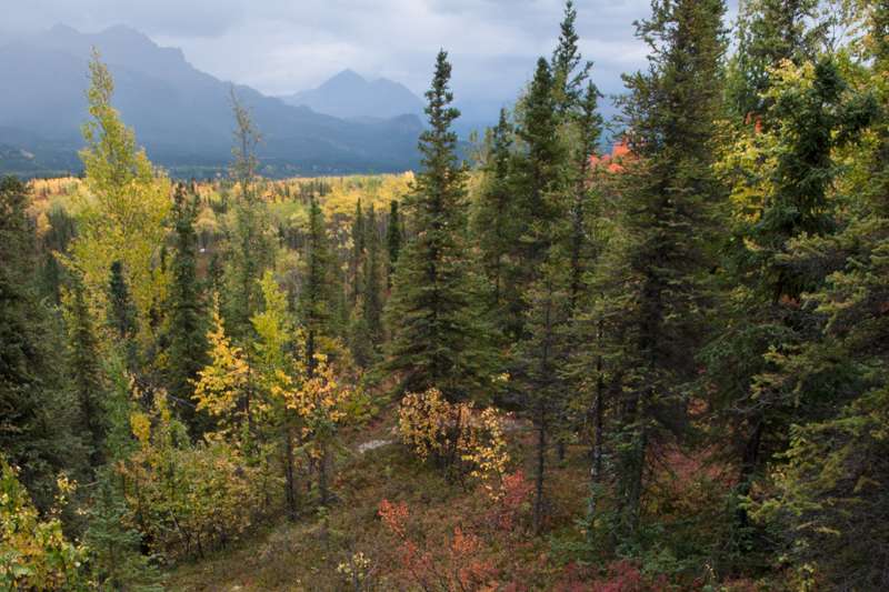 Rock Creek Trail