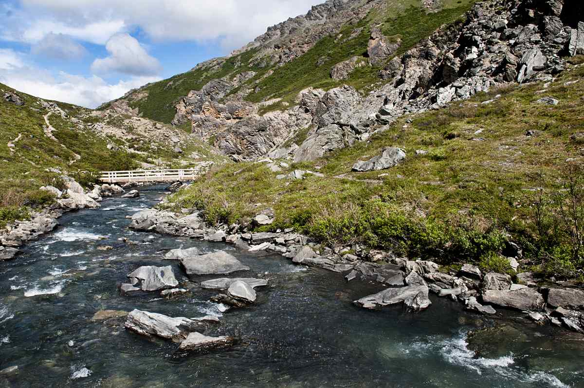 Savage River