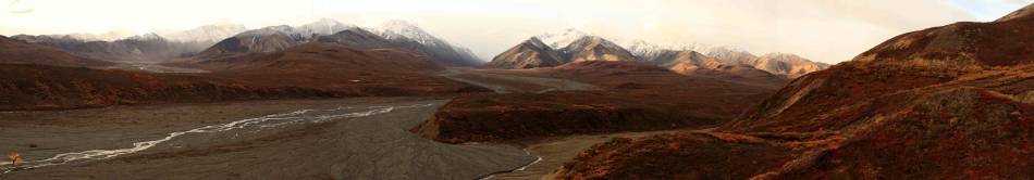 Denali National Park and Preserve