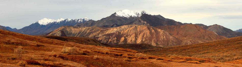 Denali National Park and Preserve