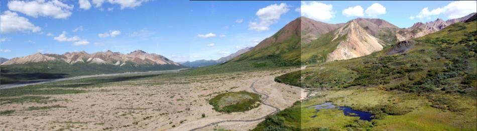 Denali National Park and Preserve