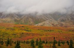 Denali National Park and Preserve