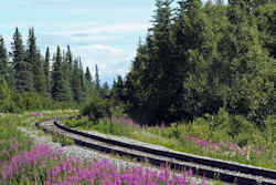 Denali National Park and Preserve