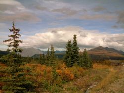 Denali National Park and Preserve