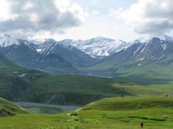 Denali National Park and Preserve