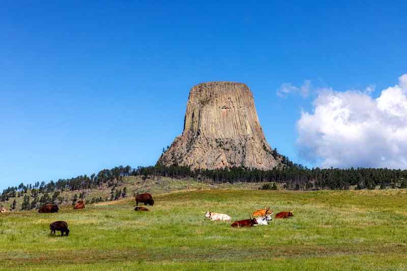 Devils Tower National Monument