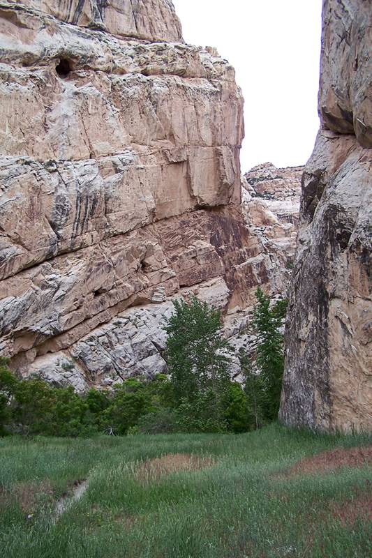 Hog Canyon Trail