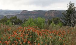 Dinosaur National Monument