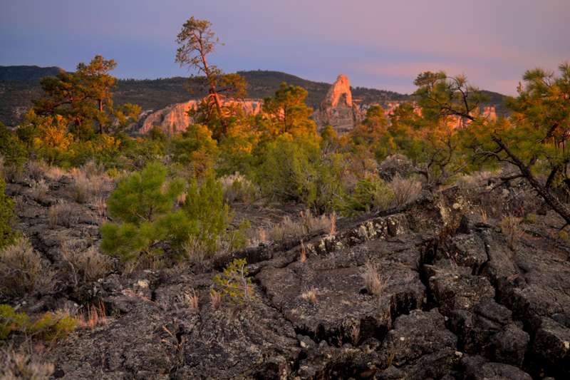 Zuni-Acoma trail