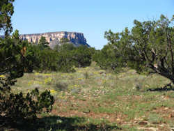 El Malpais National Monument