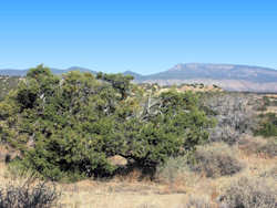 El Malpais National Monument