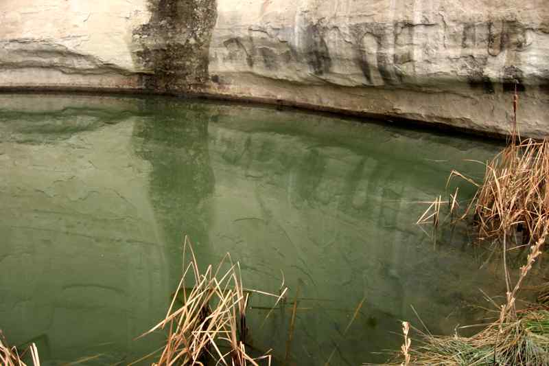 The Pool