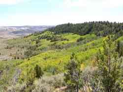 Fossil Butte National Monument