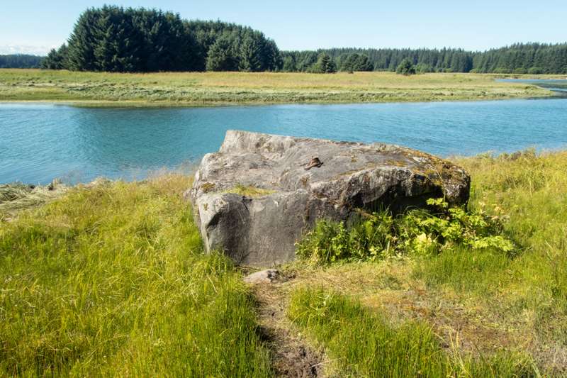 Bartlett River Trail