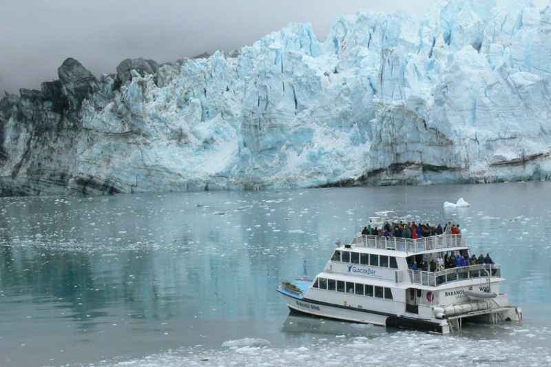 Excursion d'une journée depuis Glacier Bay