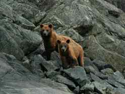 Glacier Bay National Park and Preserve