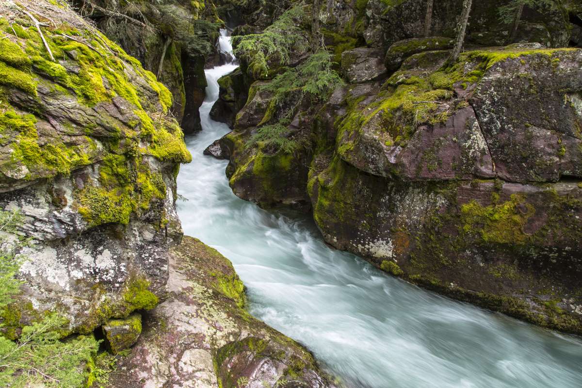 Avalanche Creek