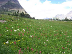 Glacier National Park