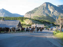 Glacier National Park