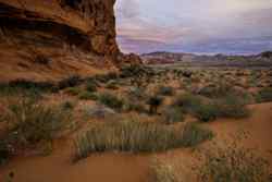 Gold Butte National Monument