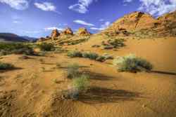 Gold Butte National Monument