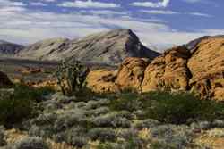 Gold Butte National Monument