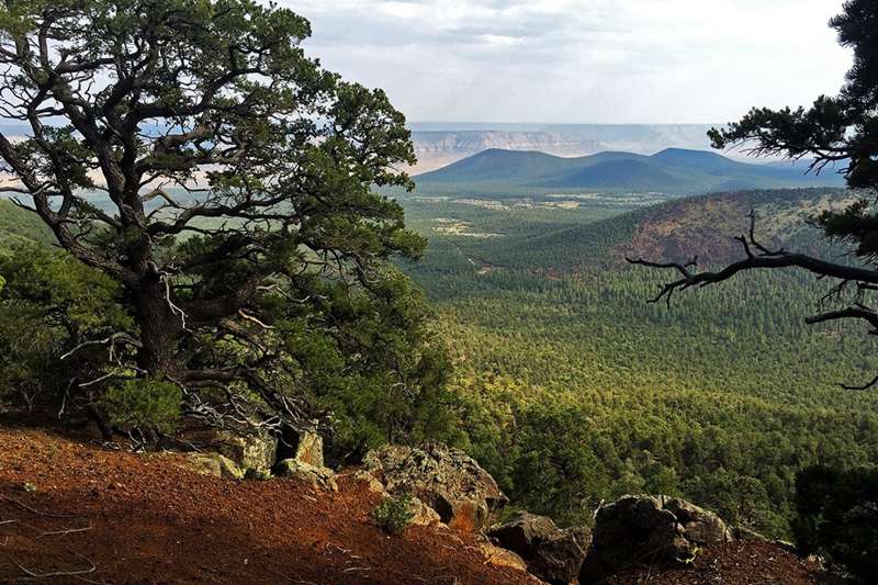 Mt. Trumbull Summit Trail