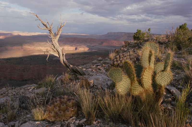 Twin Point Overlook