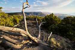 Grand Canyon-Parashant National Monument