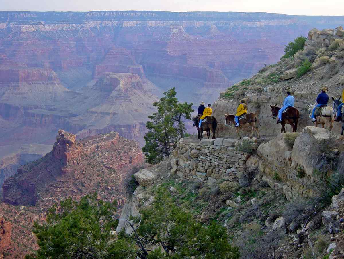 Visiter Grand Canyon National Park
