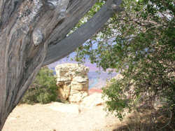 Grand Canyon South Rim