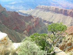 Grand Canyon South Rim