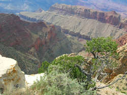 Grand Canyon South Rim