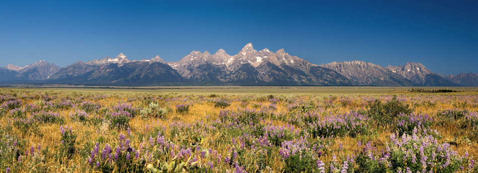 Grand Teton National Park