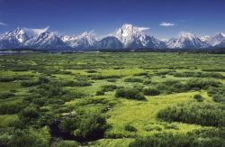 Grand Teton National Park