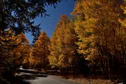 Great Basin National Park