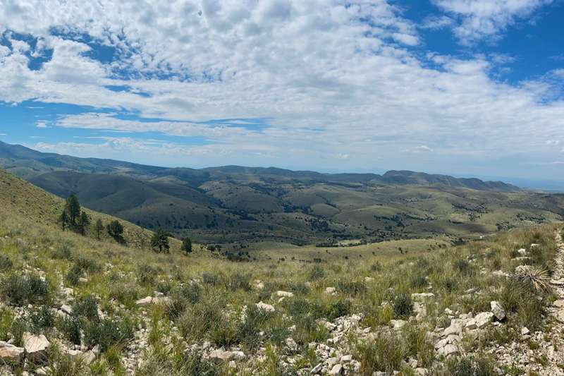 Marcus Overlook